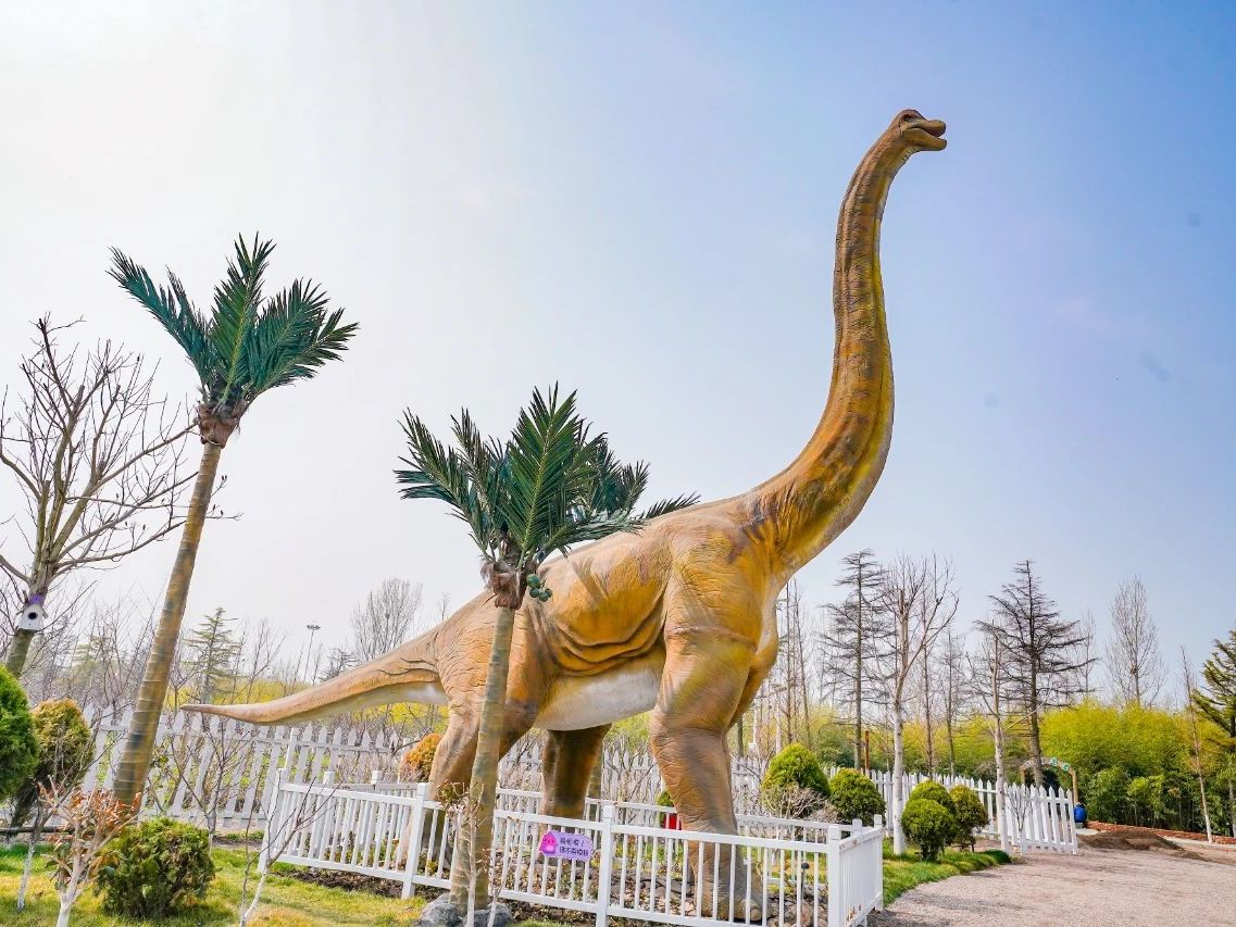青岛翠林云庄恐龙乐园项目实景 2
