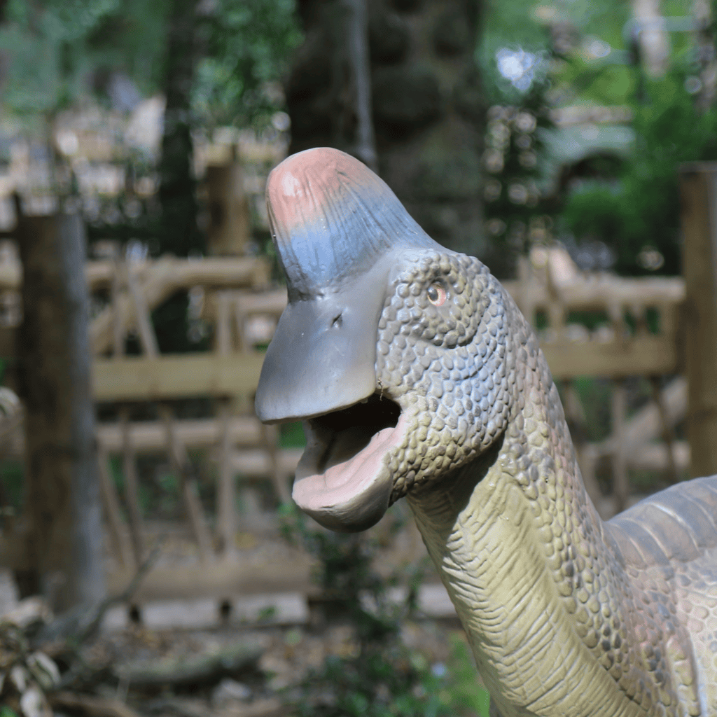 英国 Dinopark 恐龙公园项目实景 11