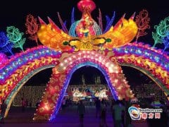 美不胜收！传统彩灯会绽放东莞